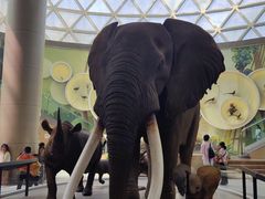 -陕西自然博物馆