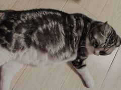 -瑞派天宁宠物医院·猫科·异宠中心