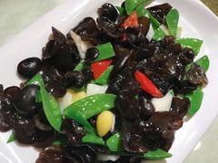 -西安烤鸭店(369烤鸭王店)