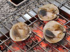 -震海贝烤贝·民俗特色店(延吉总店)