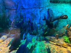 -沈阳海洋探索中心