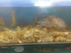 -沟北海边饭店(海埠路店)