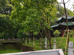 -柳侯公园