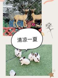 -萌宠亲子动物乐园(槐房万达店)