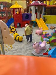 -会飞的哈林(仟星之城店)