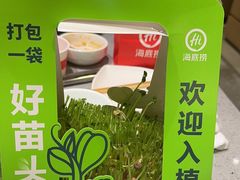 -海底捞火锅(高科东路店)