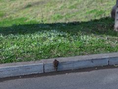 -沈阳森林动物园