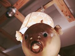 -玄品河豚(那覇國際通里之関)