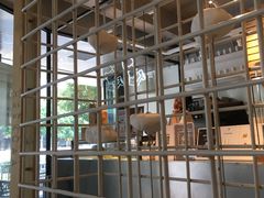 -喜茶(佛山顺德大良东乐路店)