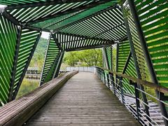 -西湖风景区-江洋畈生态公园