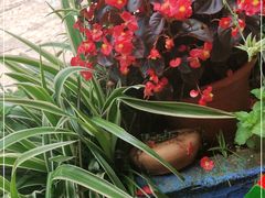 -小厨子私房菜·云南美食店