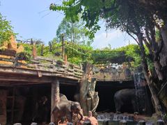 -长鹿旅游休博园