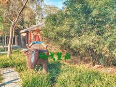 -溱湖国家湿地公园