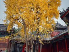 -承恩寺