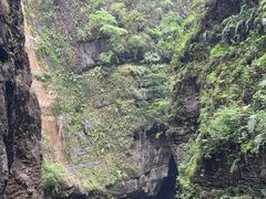 -鹿院坪生态旅游景区