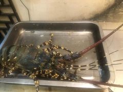 -健眺小海鲜(临海后山店)