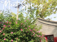 -北京石刻艺术博物馆(五塔寺)