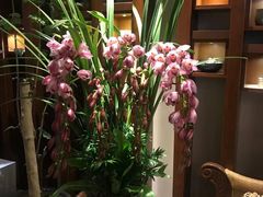 -汤臣海派理疗公馆