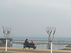 -合肥滨湖国家森林公园