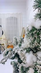 -星宝贝儿童摄影