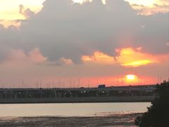 -宝安西湾红树林湿地公园