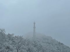 -紫金山山顶公园