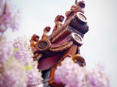-北京国子监胡同