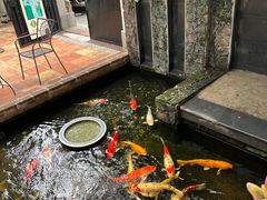 -馨园villa融合菜(东山店)