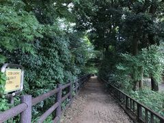 -三鹰之森吉卜力美术馆