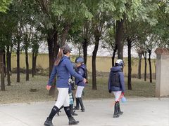 -北京群众马术培训基地