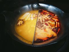 红颜花胶鸡锅-湊湊火锅·茶憩(石家庄万象城店)
