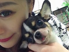 -藦茜花园宠物主题亲子互动体验馆(国顺东路店)
