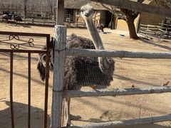 -秦皇岛野生动物园