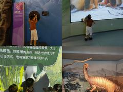 -陕西自然博物馆