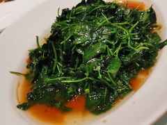 -红城阁·上海味道(四平路店)