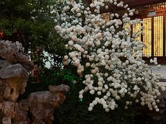 -祝家花園(伯渎港店)