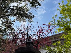 -天津意大利风情旅游区
