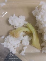 点击看大图 -济南市儿童医院