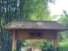 -大屏嶂森林公园