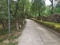 -云岗森林公园