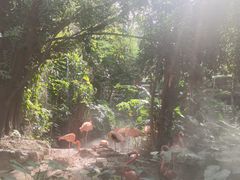 -长鹿旅游休博园