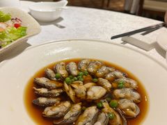 -金美华轩(东方路齐鲁店)