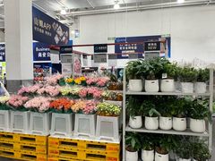 -山姆会员商店(上海浦东店)