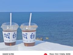 -海岛日记(养马岛店)
