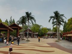 -上海野生动物园老虎餐厅