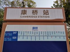 -松山湖南湖湾露营营地