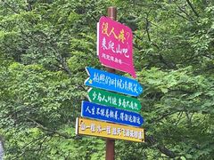 -朱雀国家森林公园