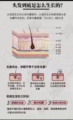 -Bollins波林丝•专研护发中心