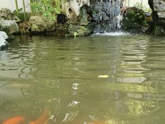 -上海醉白池公园