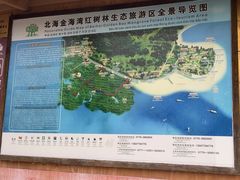 -北海金海湾红树林生态旅游区